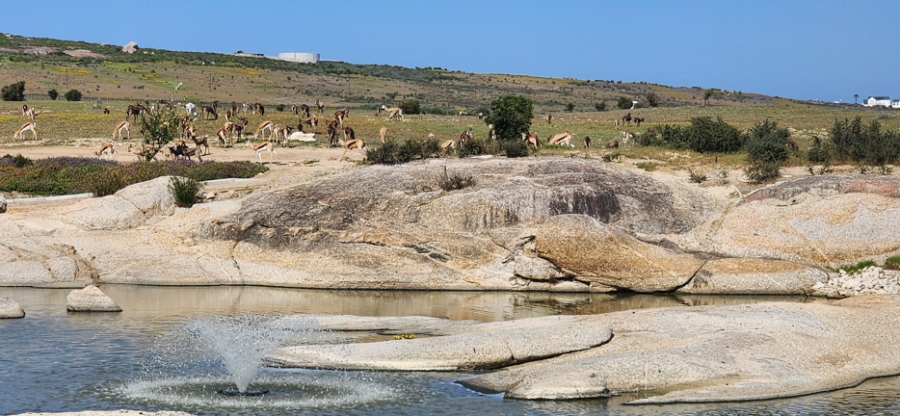 0 Bedroom Property for Sale in Langebaan Country Estate Western Cape